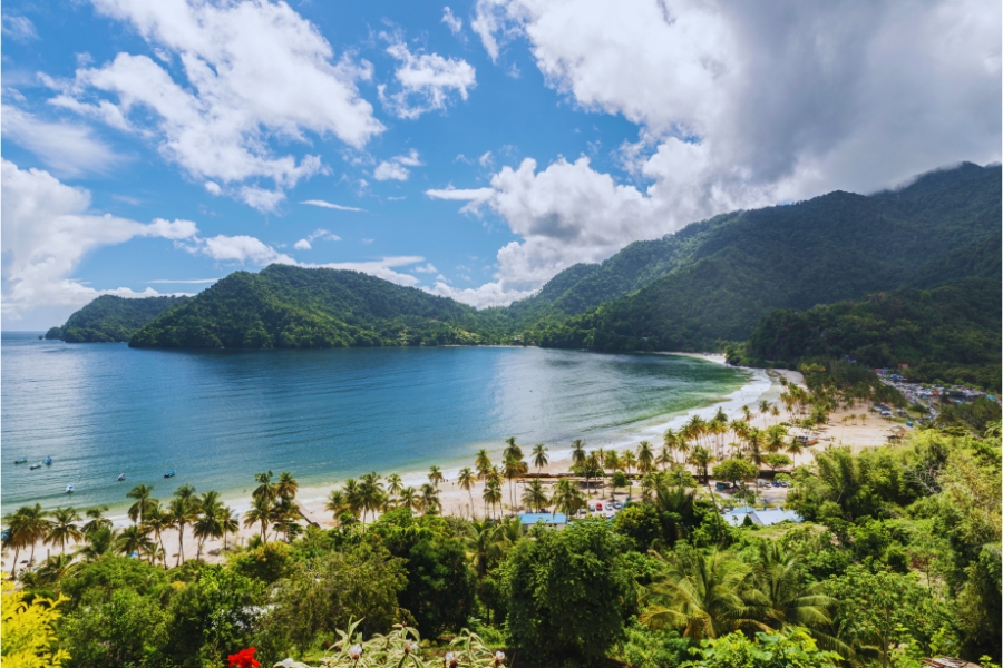A Road Trip to the Best Viewpoints in Trinidad and Tobago