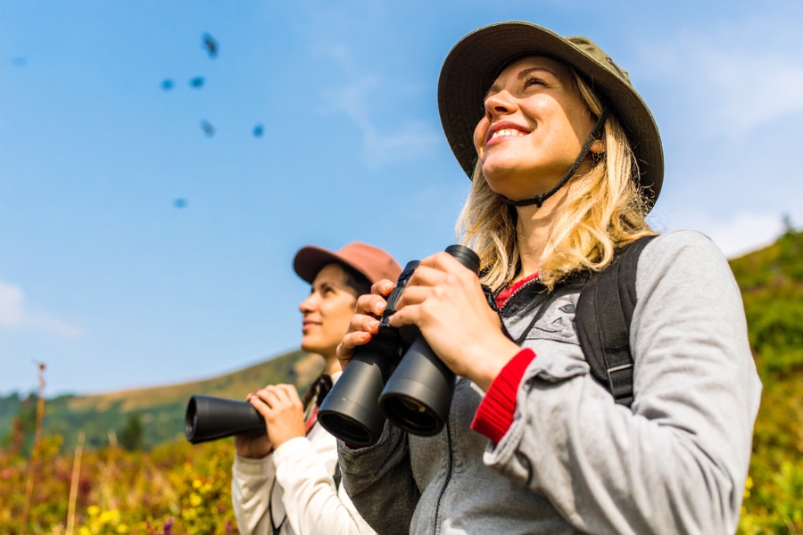 Top Birdwatching Locations in Trinidad and Tobago