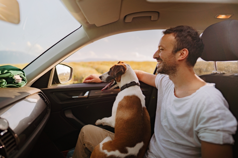 How to Choose a Rental Car for Tobago Road Trip