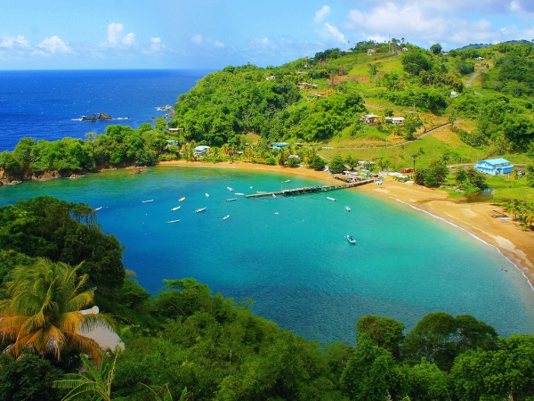 Best Drives in Trinidad and Tobago for Nature Lovers