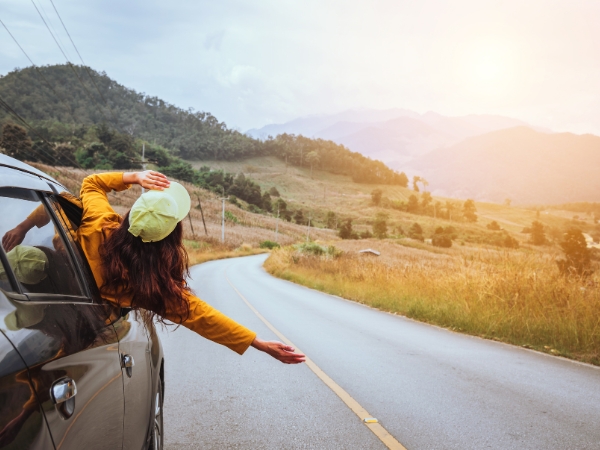 Scarborough to Argyle Waterfall: Easy Nature Trip by Car