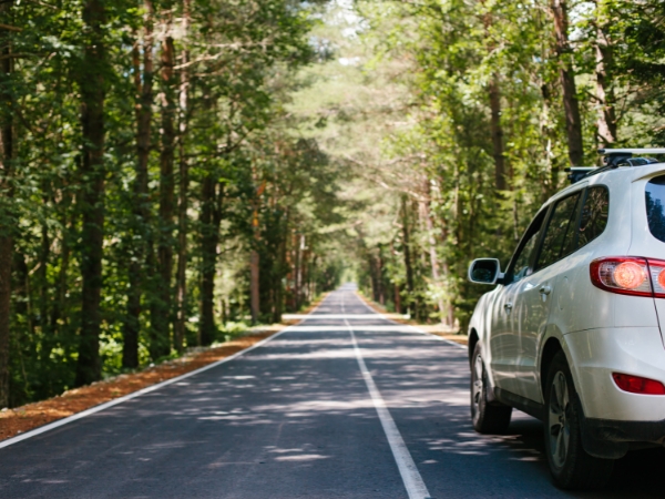 Tobago Rainforest Road Trip: Roxborough to Parlatuvier