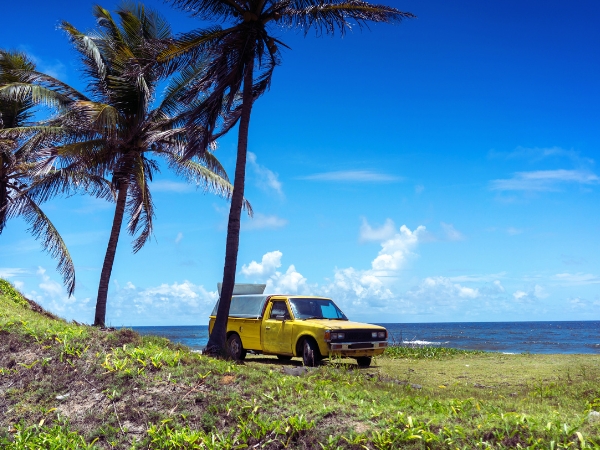Why Driving Is the Best Way to Explore Trinidad and Tobago