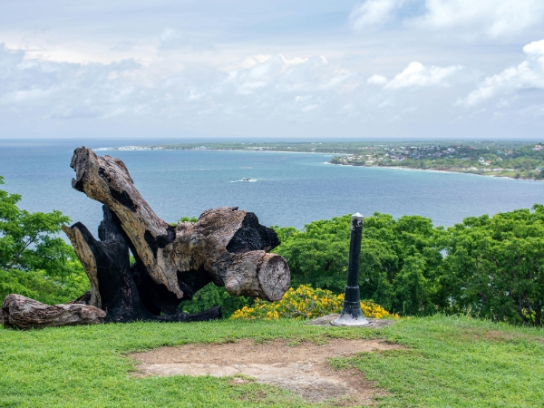 Why Scarborough Is the Perfect Starting Point in Tobago